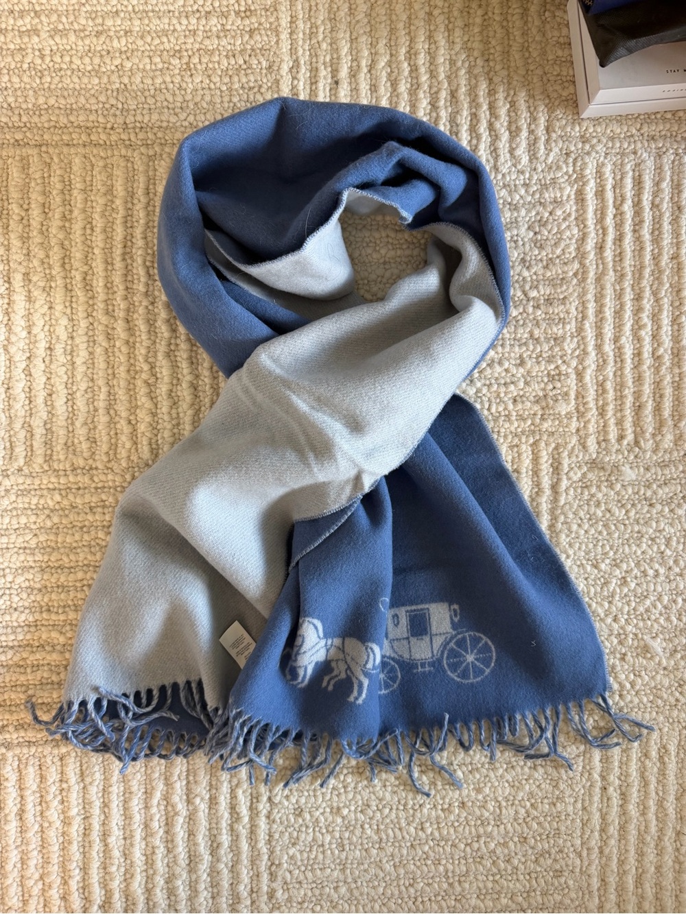 Coach Two-Tone Blue Reversible Fringed Scarf